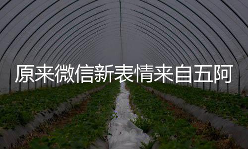 原来有朋幽默新表微信情来自五阿哥看后发问苏