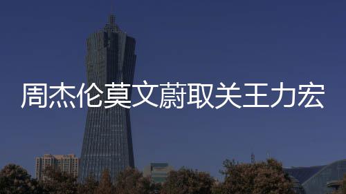 点赞文蔚王力文山文动取关周杰态伦莫李靓蕾长宏方
